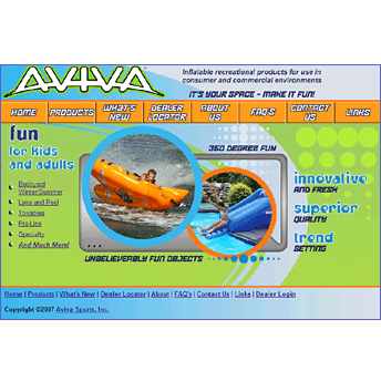 Aviva Sports Web Site