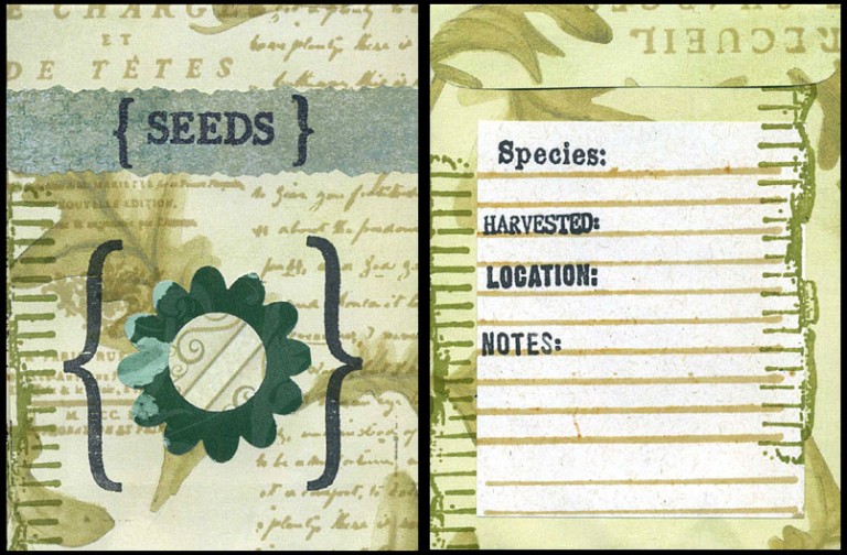 Make A Decorated Seed Packet Carolyn Hasenfratz Design   Front And Back Web 768x504 